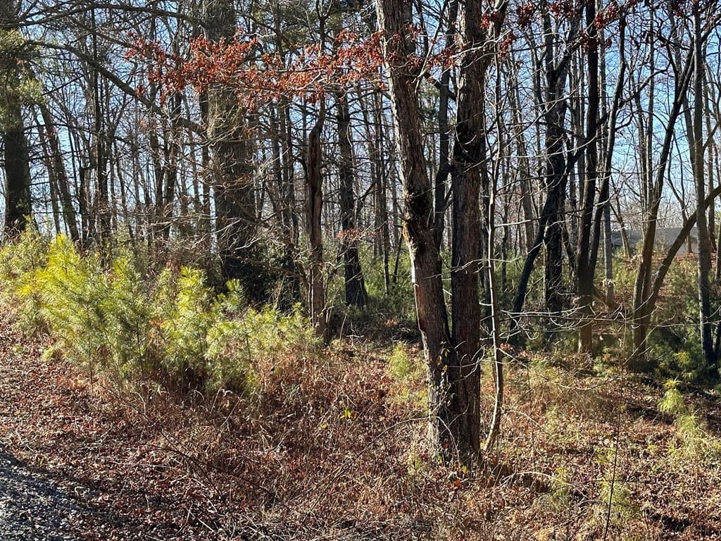 Lot 14 Fairview Way, Blue Ridge GA 30560 - Photo