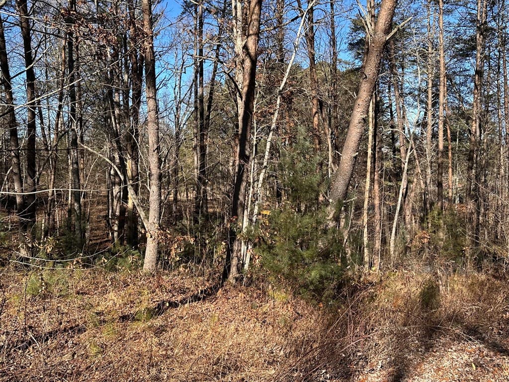 Lot 14 Fairview Way, Blue Ridge GA 30560 - Photo