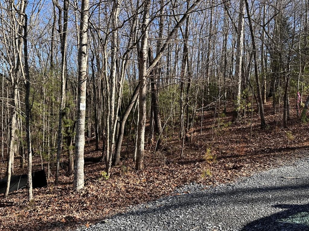 lot 19 Fairview Drive, Morganton GA 30560 - Primary photo