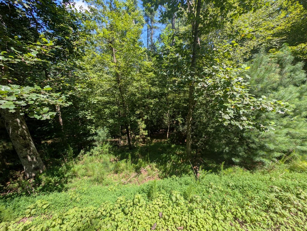 Lt 3079R Monocle Drive, Ellijay GA 30540 - Photo
