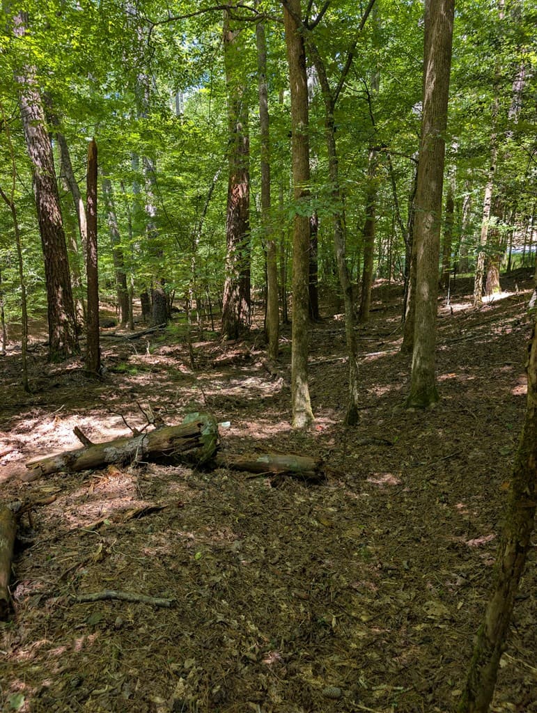 Lt 3079R Monocle Drive, Ellijay GA 30540 - Photo