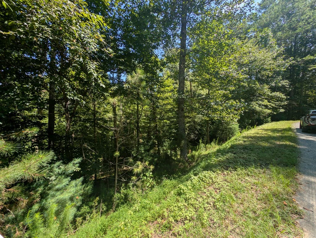 Lt 3079R Monocle Drive, Ellijay GA 30540 - Photo
