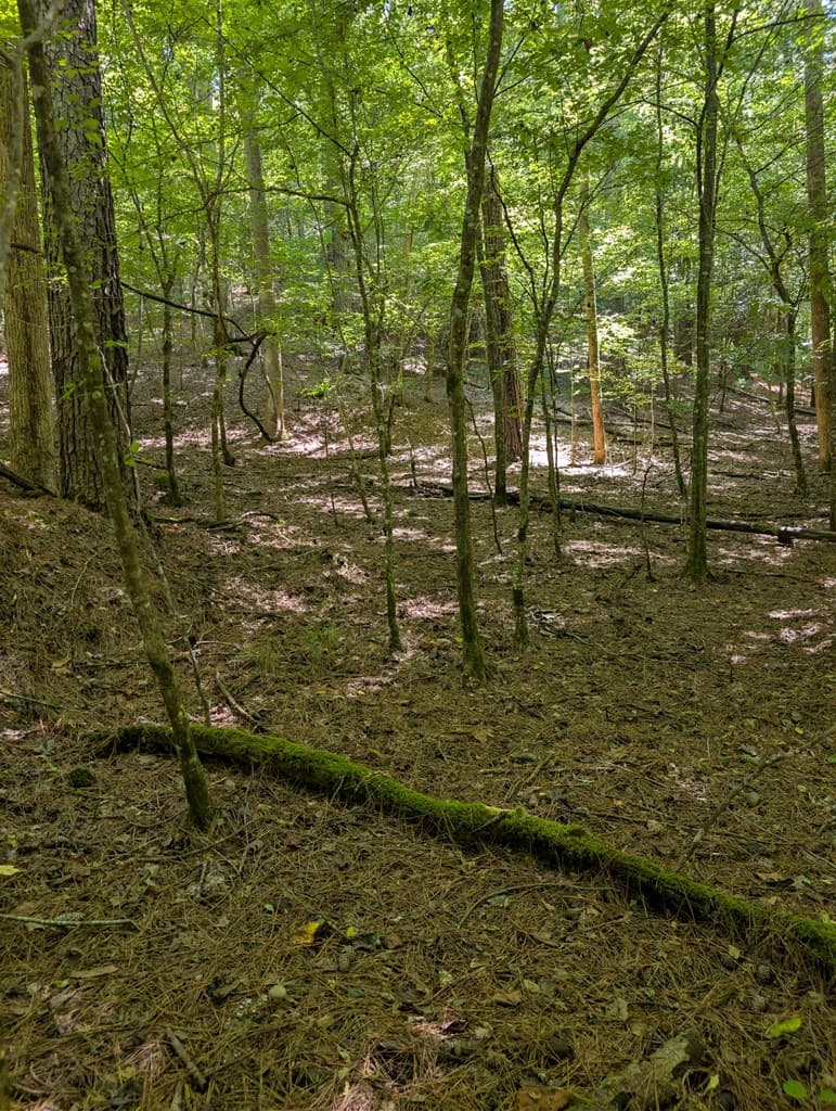 Lt 3079R Monocle Drive, Ellijay GA 30540 - Photo