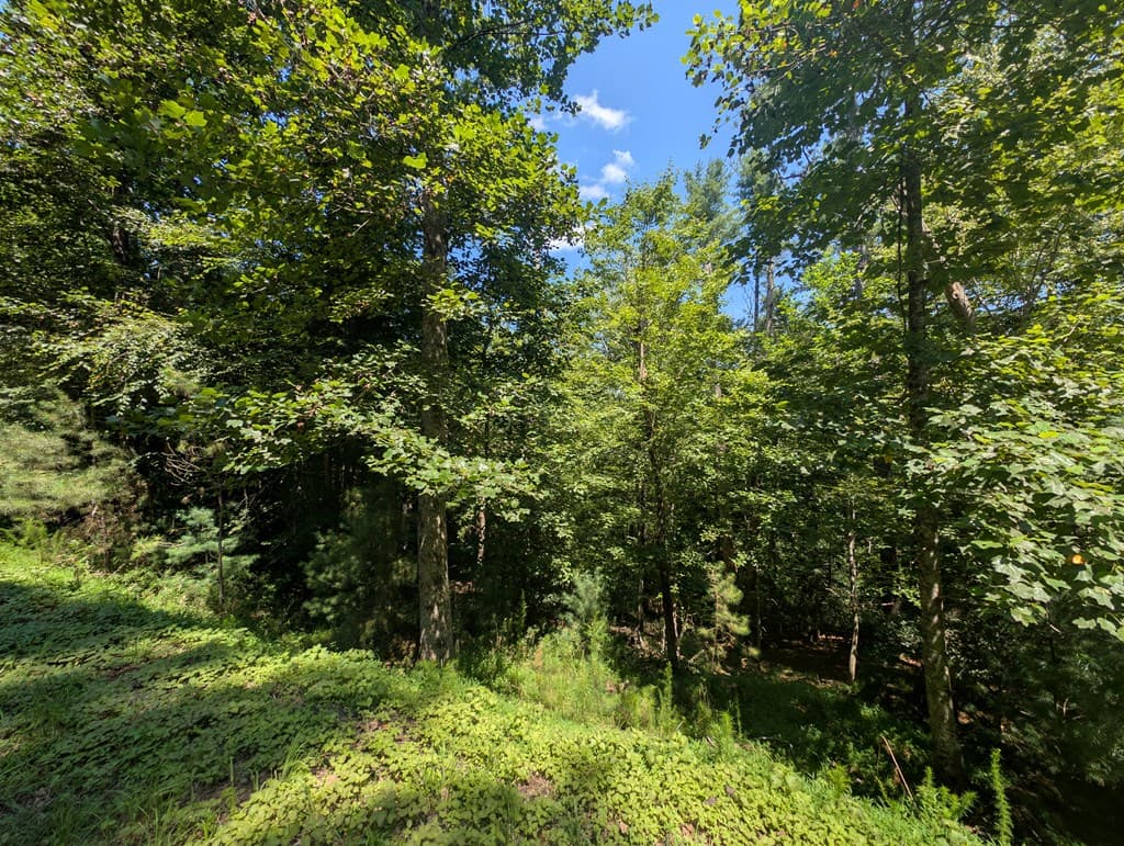 Lt 3079R Monocle Drive, Ellijay GA 30540 - Photo