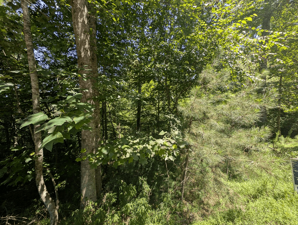 Lt 3079R Monocle Drive, Ellijay GA 30540 - Photo