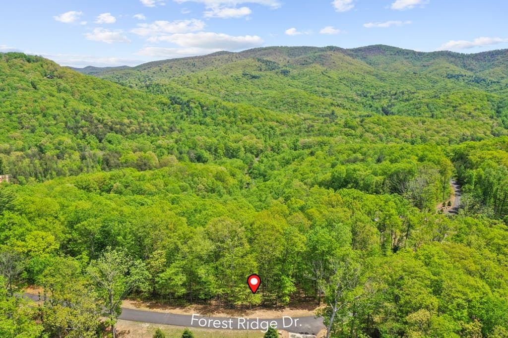 LT 19 Forest Ridge Drive, Blue Ridge GA 30540 - Photo