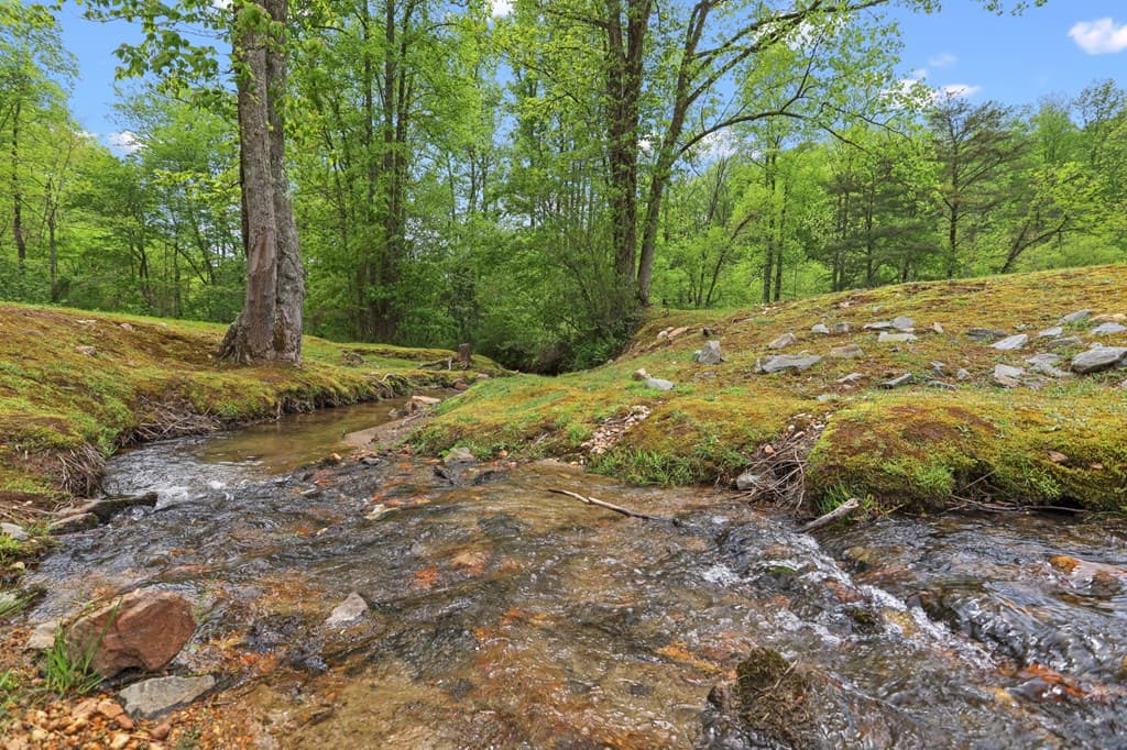 LT 19 Forest Ridge Drive, Blue Ridge GA 30540 - Photo
