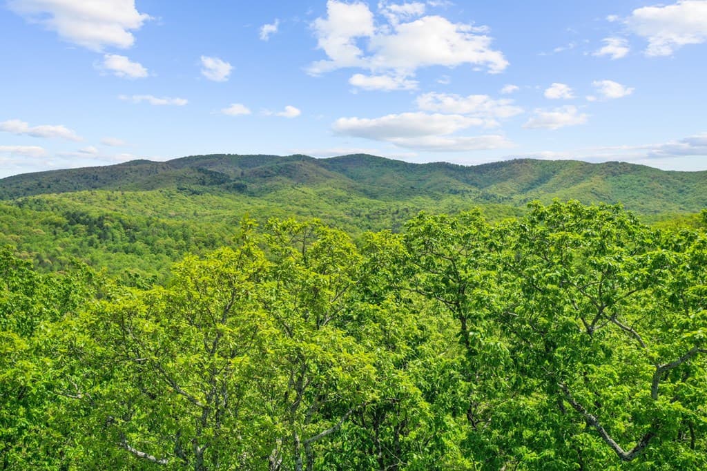 LT 19 Forest Ridge Drive, Blue Ridge GA 30540 - Photo