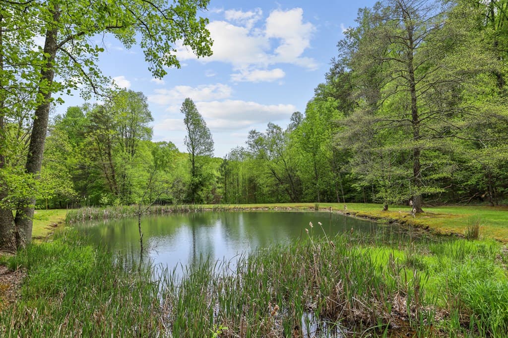 LT 19 Forest Ridge Drive, Blue Ridge GA 30540 - Photo