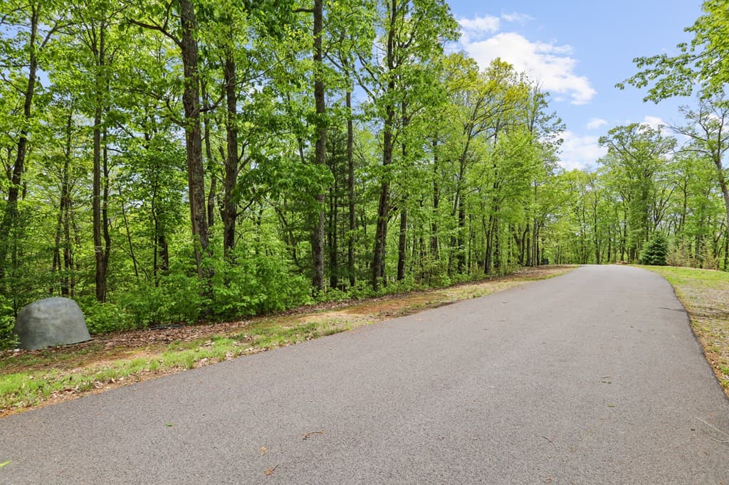 LT 19 Forest Ridge Drive, Blue Ridge GA 30540 - Photo