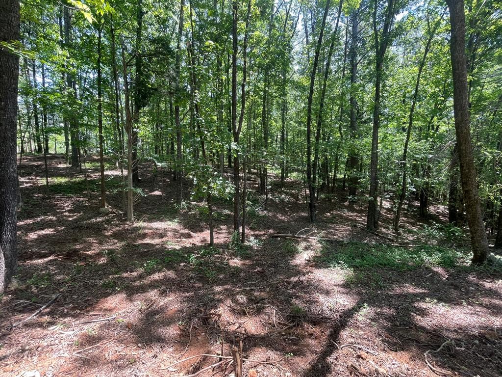 TRACT 3 Chalcrest Way, Cave Spring GA 30124 - Photo