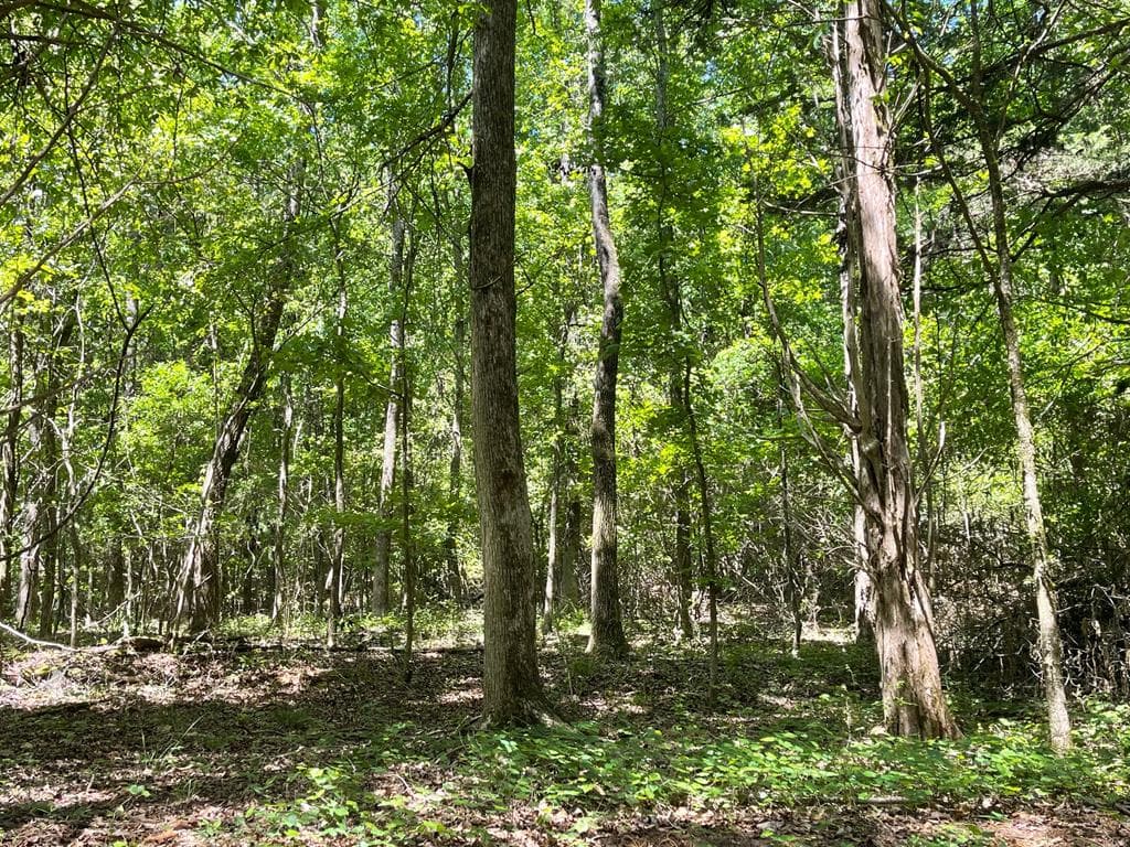 TRACT 3 Chalcrest Way, Cave Spring GA 30124 - Photo