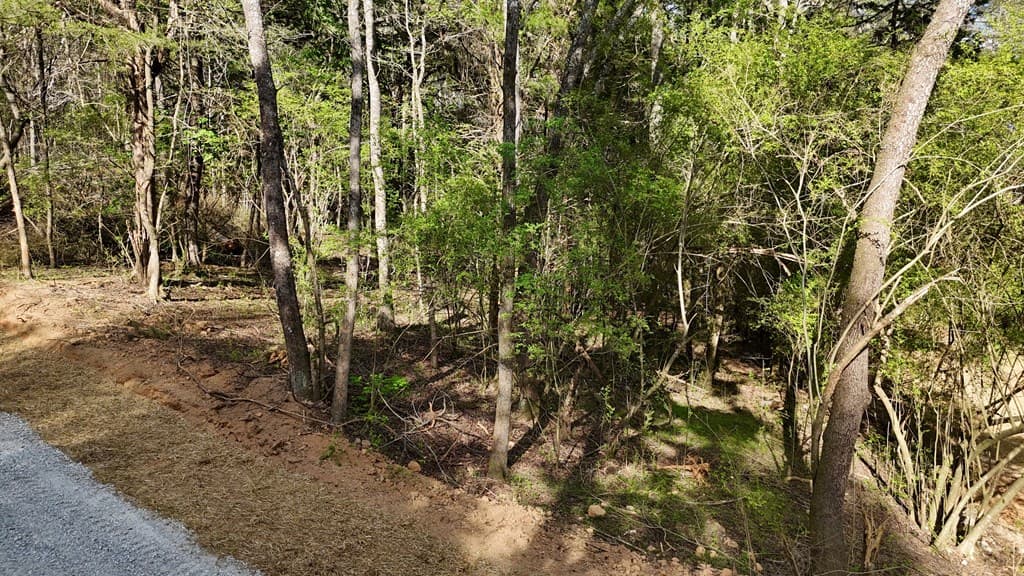 TRACT 3 Chalcrest Way, Cave Spring GA 30124 - Photo