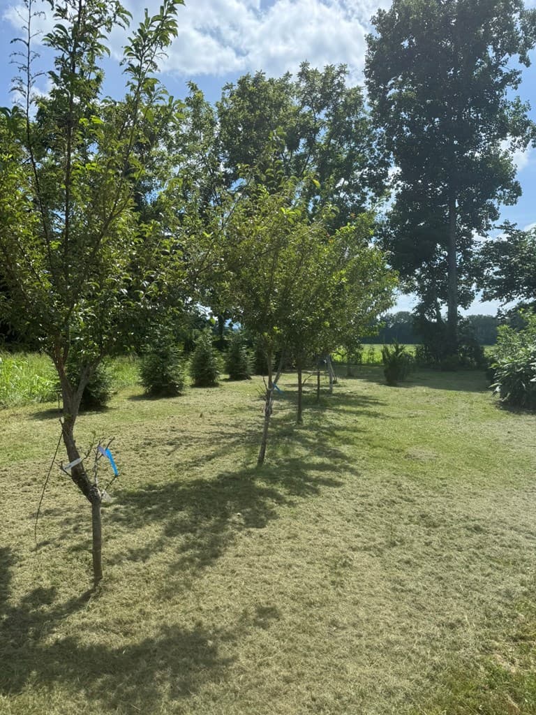 00 Wenland Estates, Brasstown NC 28902 - Photo