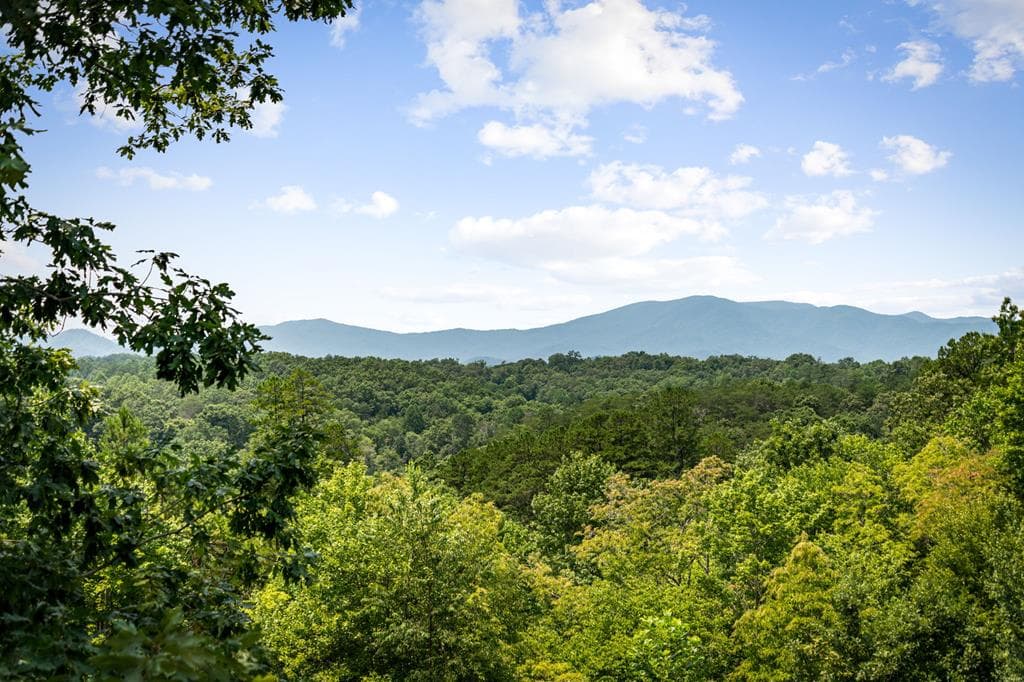 185 Austin Mountain Road, Copperhill TN 37317 - Photo
