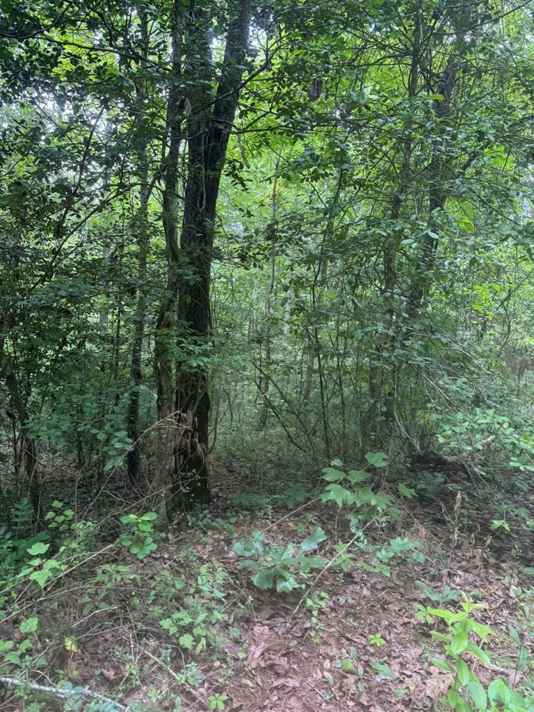 00 Camp Creek Estates Drive, Murphy NC 28906 - Photo