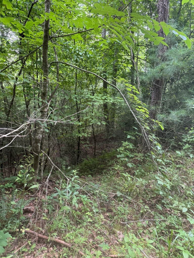 00 Camp Creek Estates Drive, Murphy NC 28906 - Photo