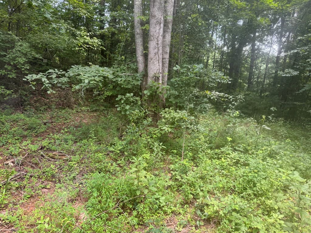 00 Camp Creek Estates Drive, Murphy NC 28906 - Photo