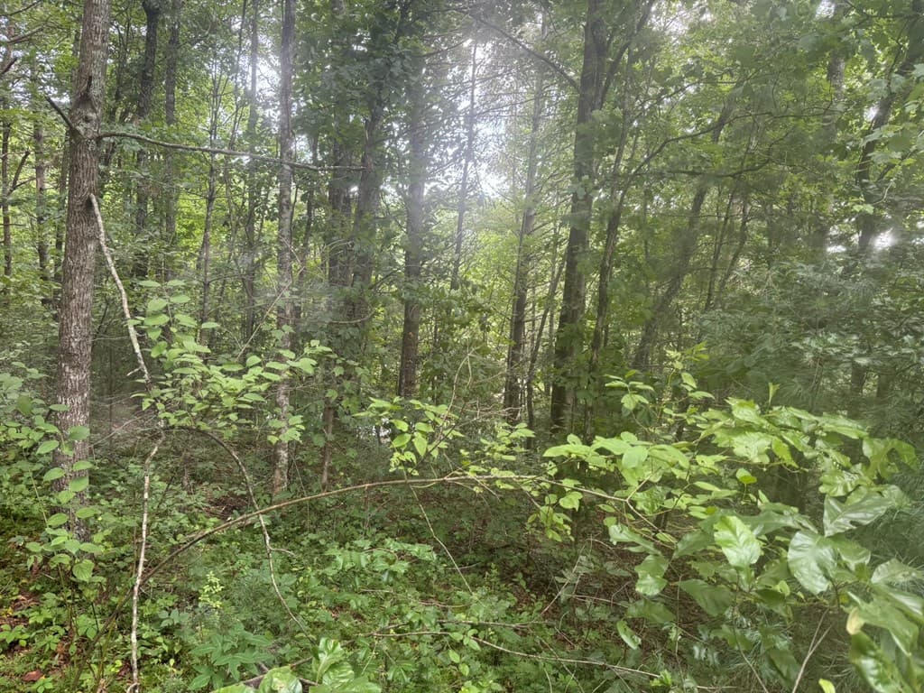 00 Camp Creek Estates Drive, Murphy NC 28906 - Photo