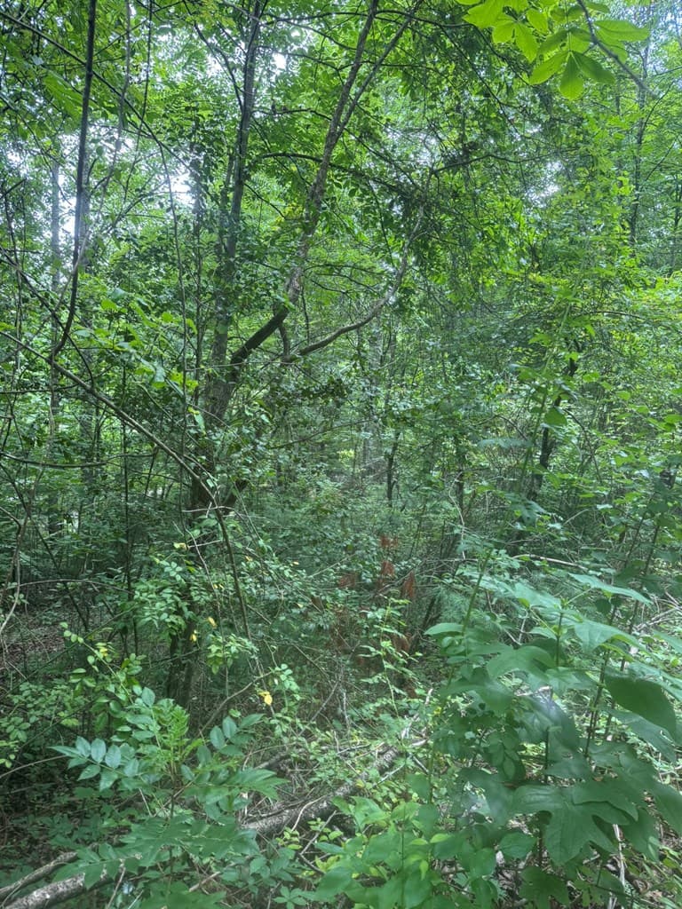 00 Camp Creek Estates Drive, Murphy NC 28906 - Photo