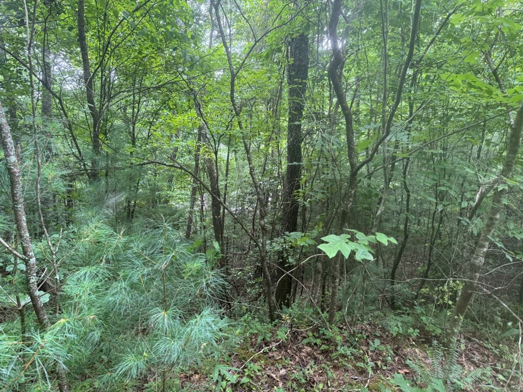 00 Camp Creek Estates Drive, Murphy NC 28906 - Photo