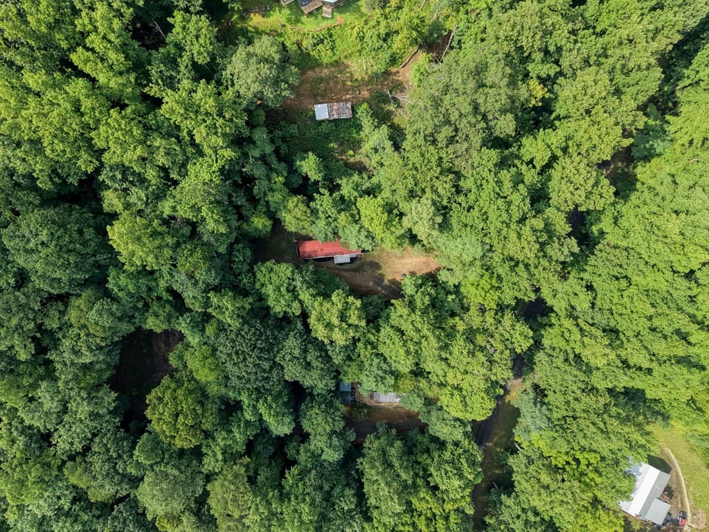 8223 True Love Mountain Road, Young Harris GA 30582 - Photo