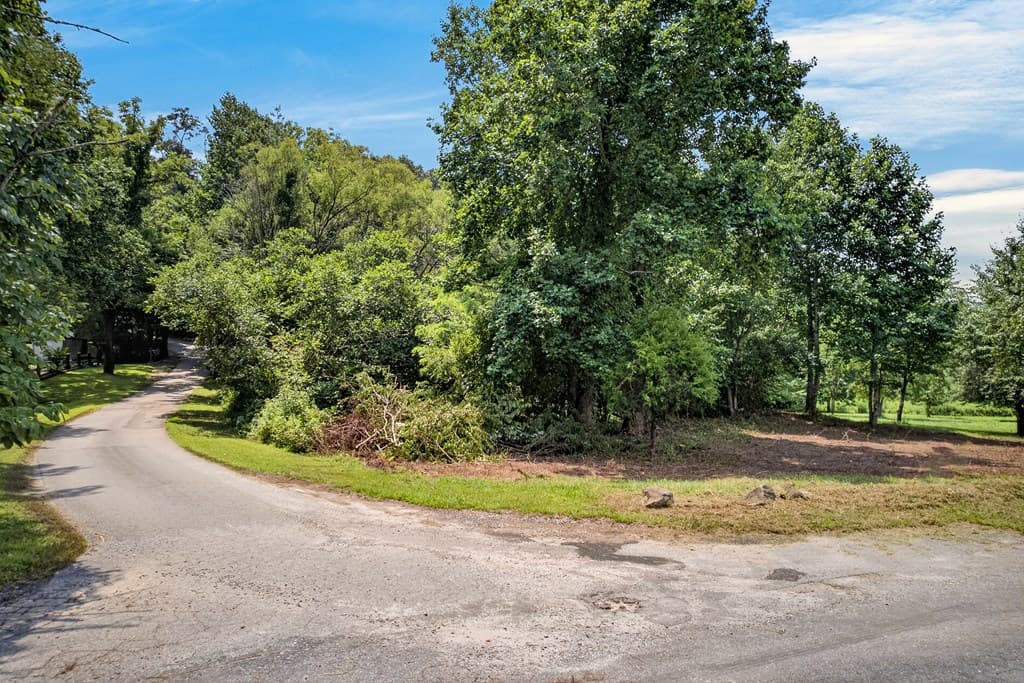 TR 1 & 4 Bocon Lane, Hiawassee GA 30546 - Photo