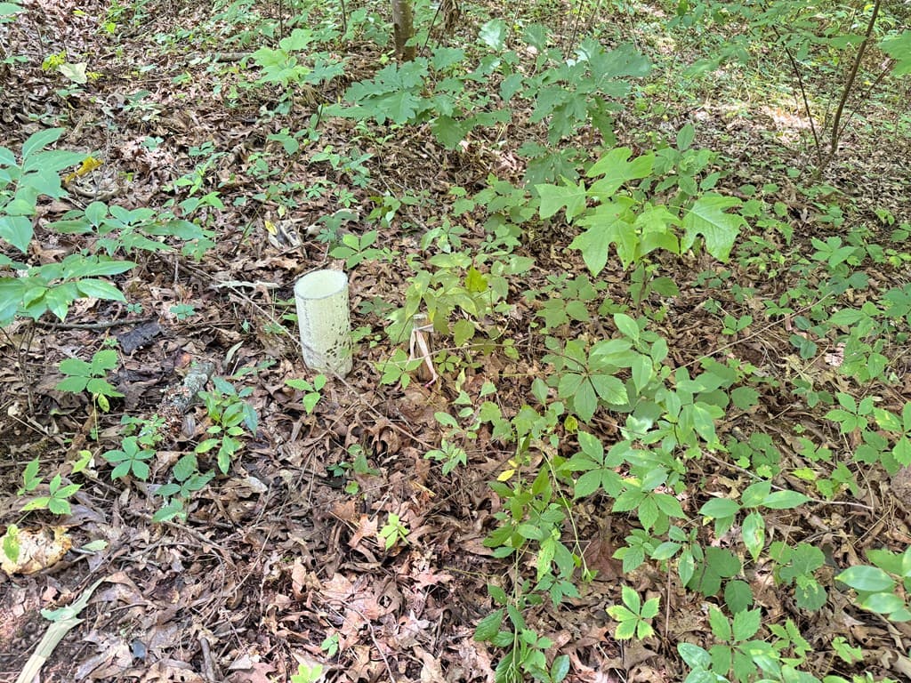 TR 1 & 4 Bocon Lane, Hiawassee GA 30546 - Photo