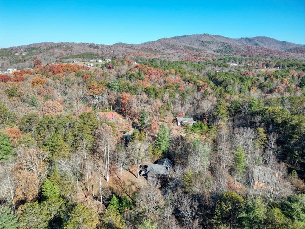 541 Rizzitello Lane, Blairsville GA 30512 - Photo