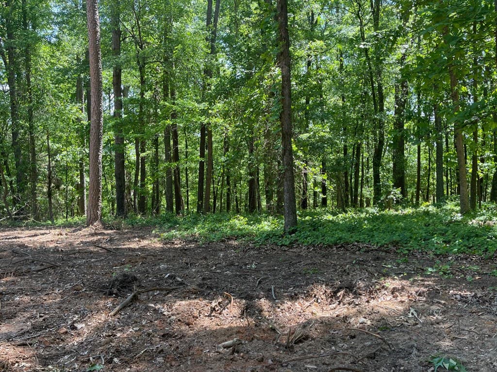 TRACT1B Chalcrest Way, Cave Spring GA 30124 - Photo