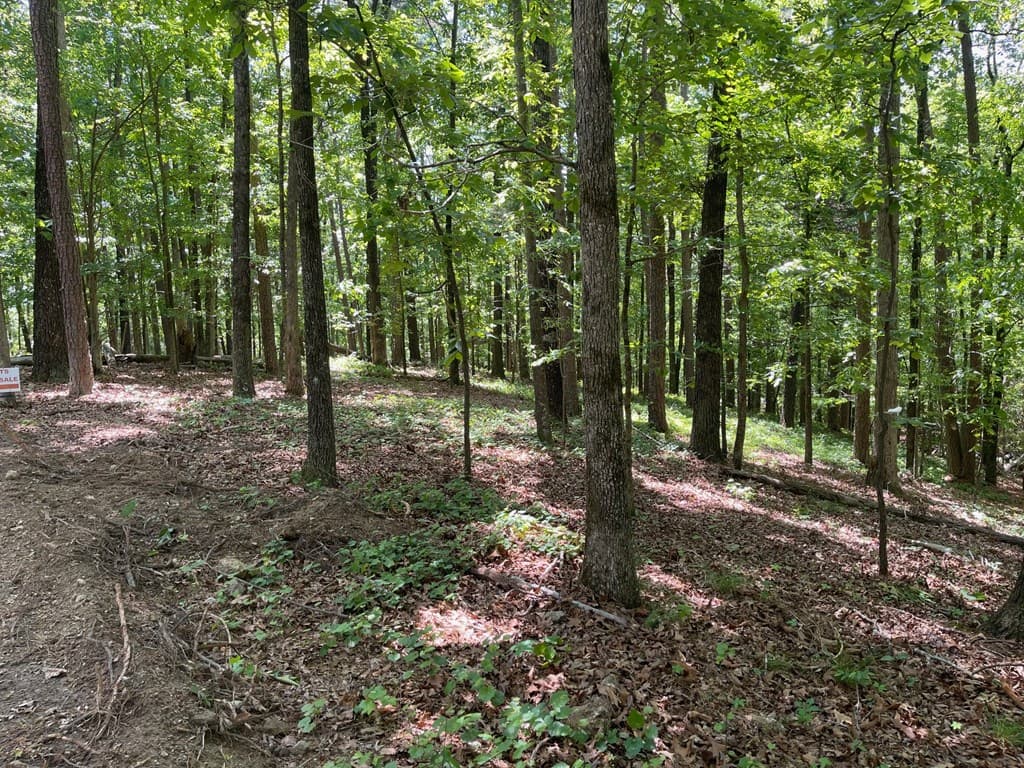TRACT1B Chalcrest Way, Cave Spring GA 30124 - Photo