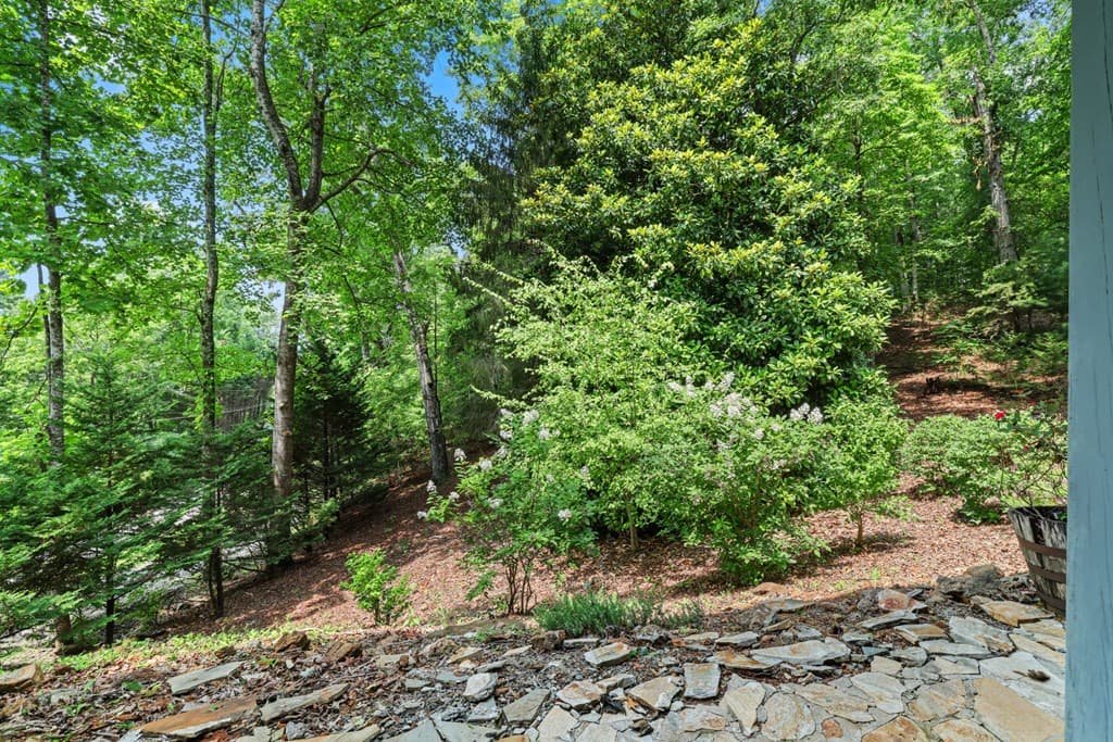 27 Dogwood Hollar Lane, Hayesville NC 28904 - Photo