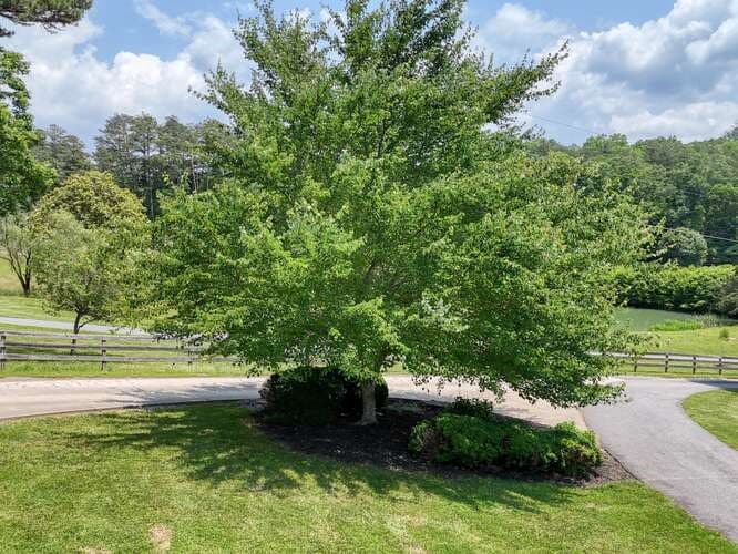 115 Dawsons Lane, Murphy NC 28906 - Photo