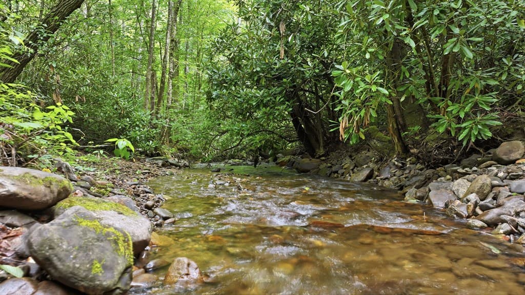 490 Red Wolf Run, Franklin NC 28734 - Photo
