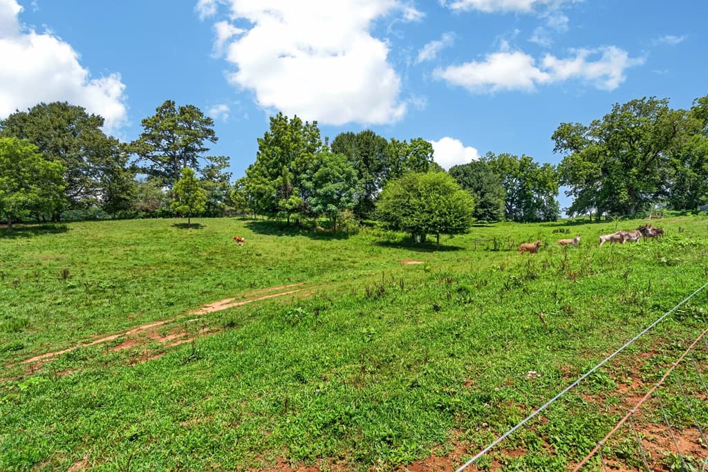 14155 Highway 106, Carnesville GA 30521 - Photo