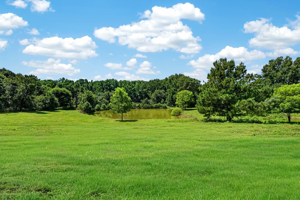 14155 Highway 106, Carnesville GA 30521 - Photo