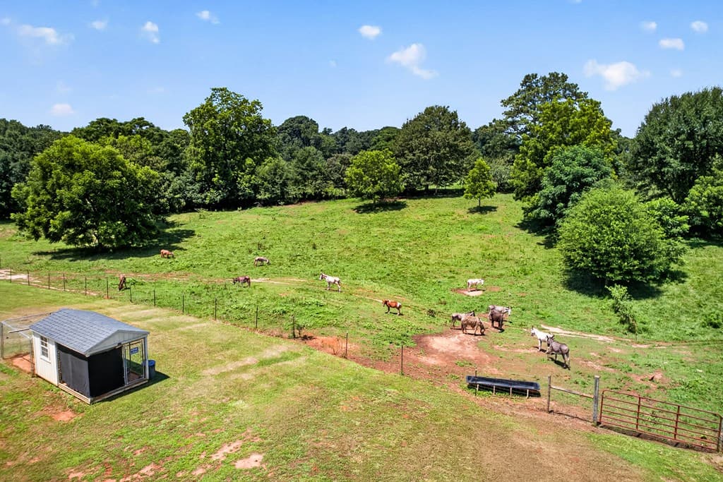 14155 Highway 106, Carnesville GA 30521 - Photo