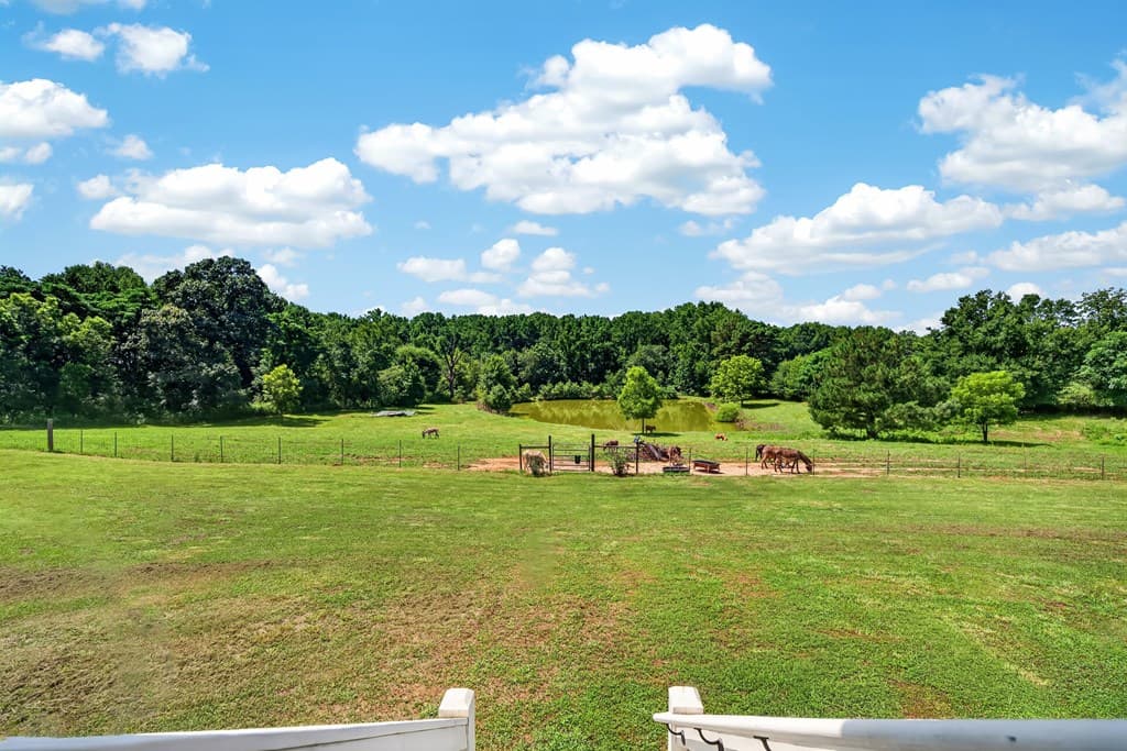 14155 Highway 106, Carnesville GA 30521 - Photo