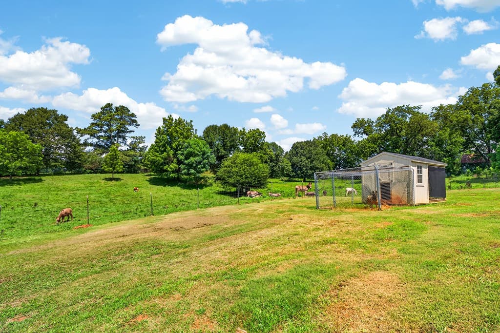 14155 Highway 106, Carnesville GA 30521 - Photo