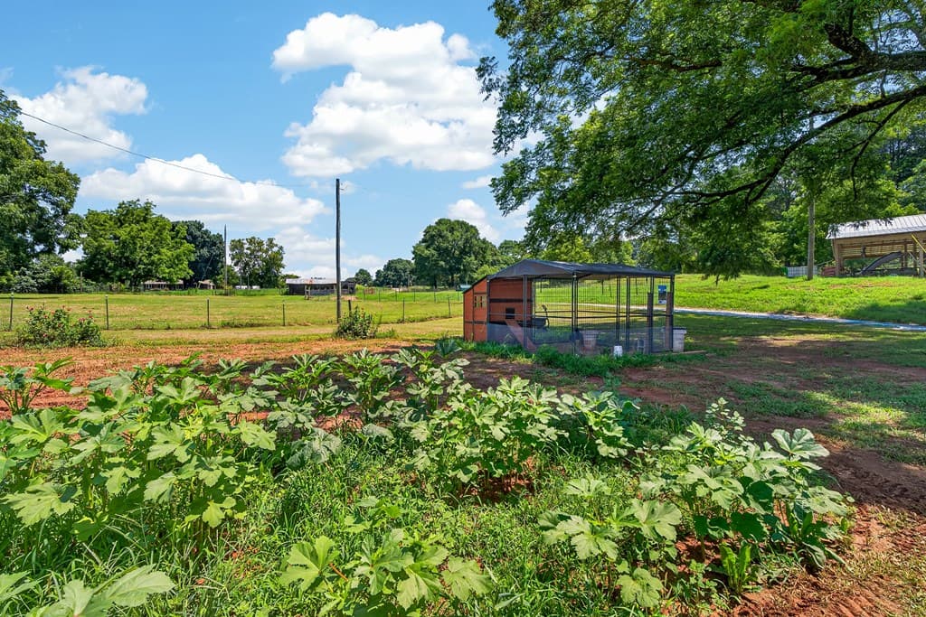 14155 Highway 106, Carnesville GA 30521 - Photo