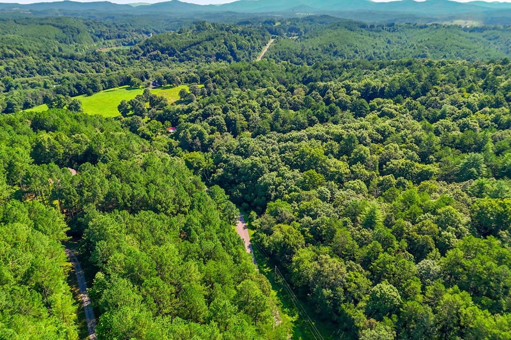 114 Hideaway Trail, Copperhill TN 37317 - Photo