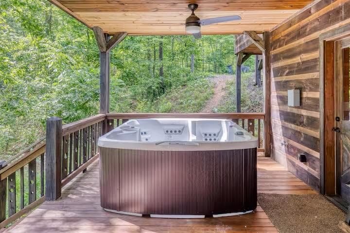 30 Trinity Hills Lane, Mineral Bluff GA 30559 - Photo