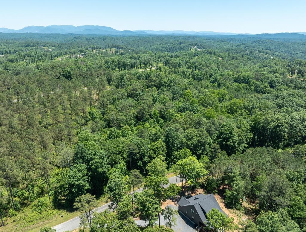 0 High River Road, Ellijay GA 30540 - Primary photo