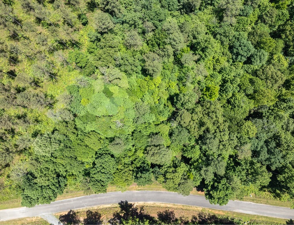 0 High River Road, Ellijay GA 30540 - Photo