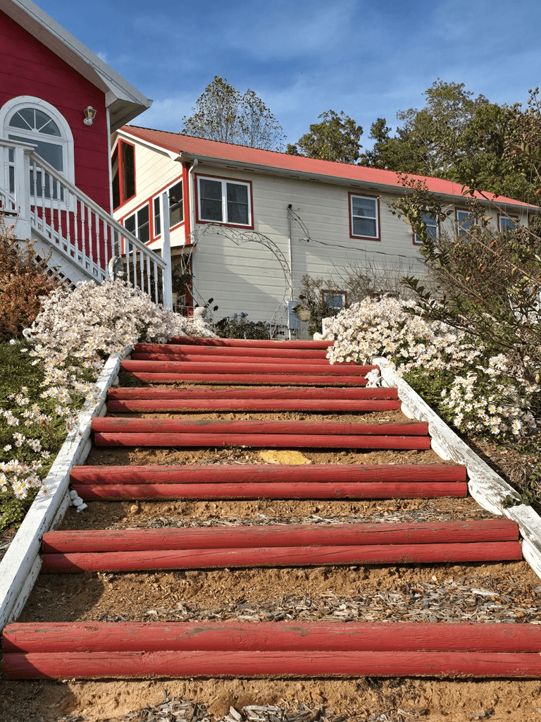 53 Fox Run, Blue Ridge GA 30513 - Photo