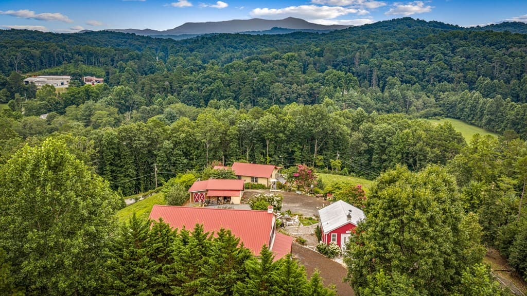 53 Fox Run, Blue Ridge GA 30513 - Photo