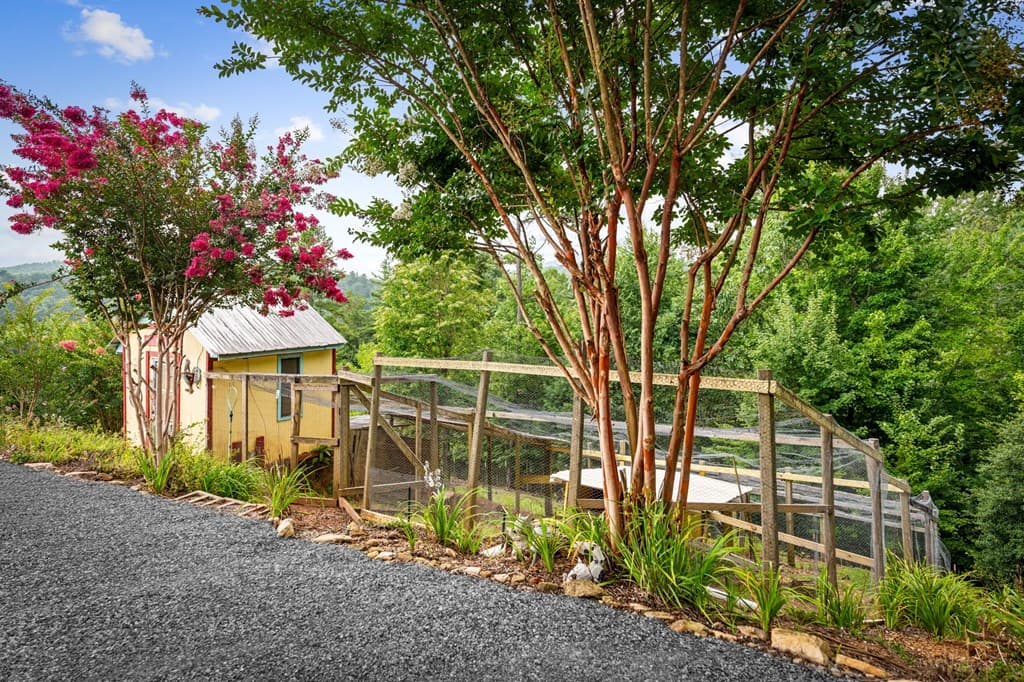 53 Fox Run, Blue Ridge GA 30513 - Photo
