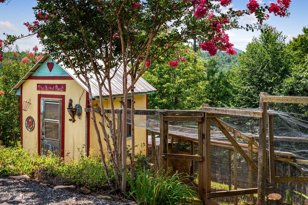 53 Fox Run, Blue Ridge GA 30513 - Photo