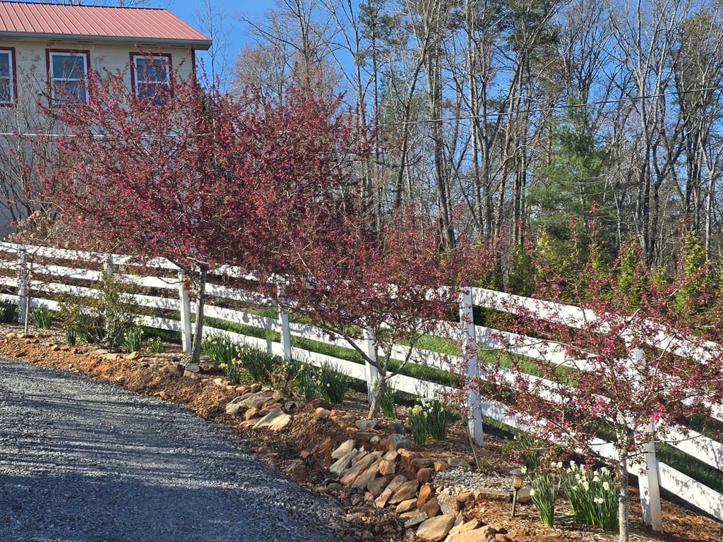 53 Fox Run, Blue Ridge GA 30513 - Photo