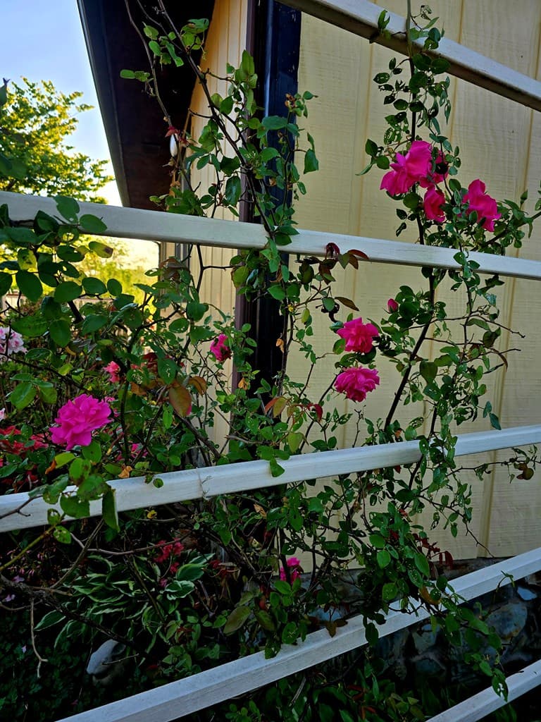 90 Fox Run, Blue Ridge GA 30513 - Photo